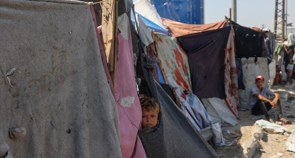 UN special rapporteur calls for end to forced displacement of Palestinian populations