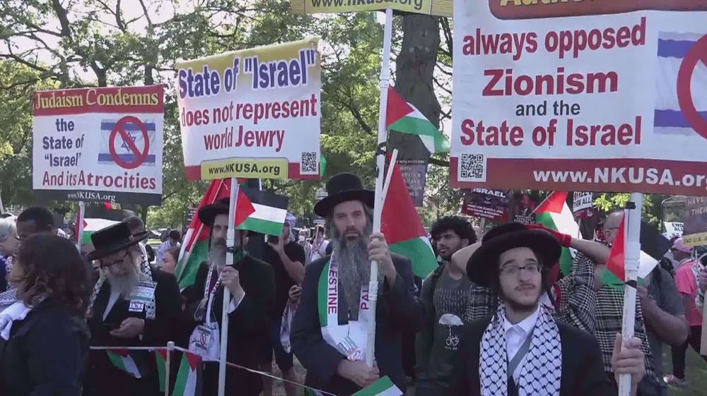 Pro-Palestinians rage against Democratic Party’s censoring of Gaza