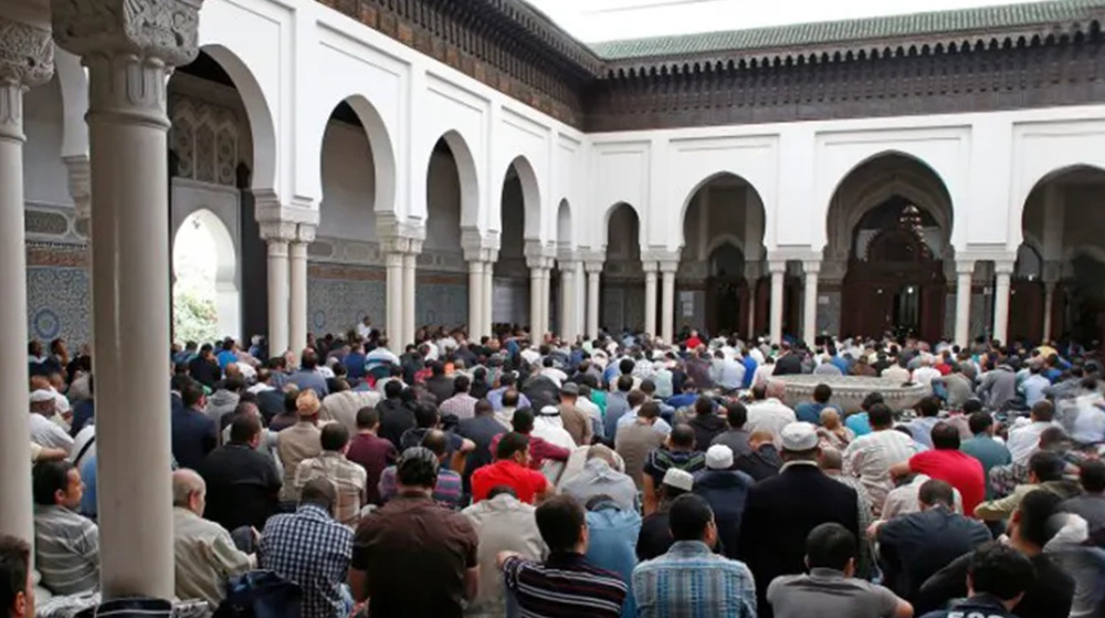 Book denounces war on mosques in Italy