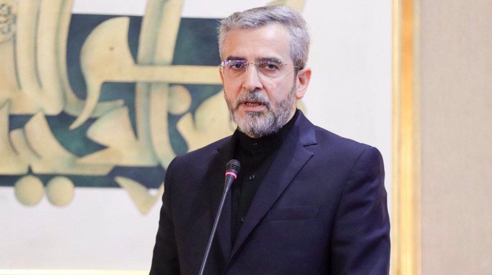 Leader appoints former acting FM as member of Iran’s Council on Foreign Relations