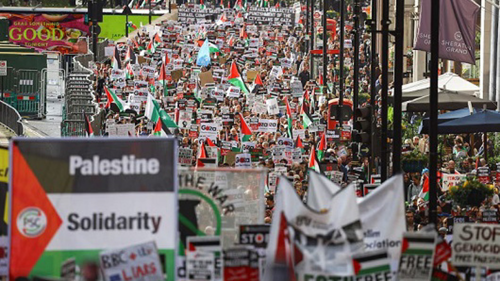 Global pro-Palestine protests