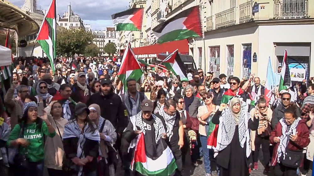 Pro Palestinian Protests Europe