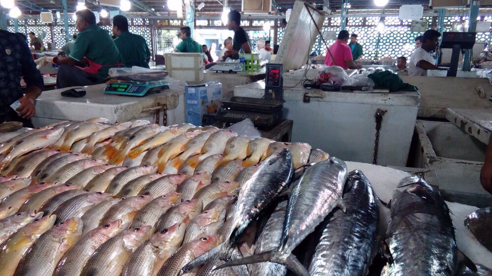 Iran’s fishery exports up by 33% y/y in April-August