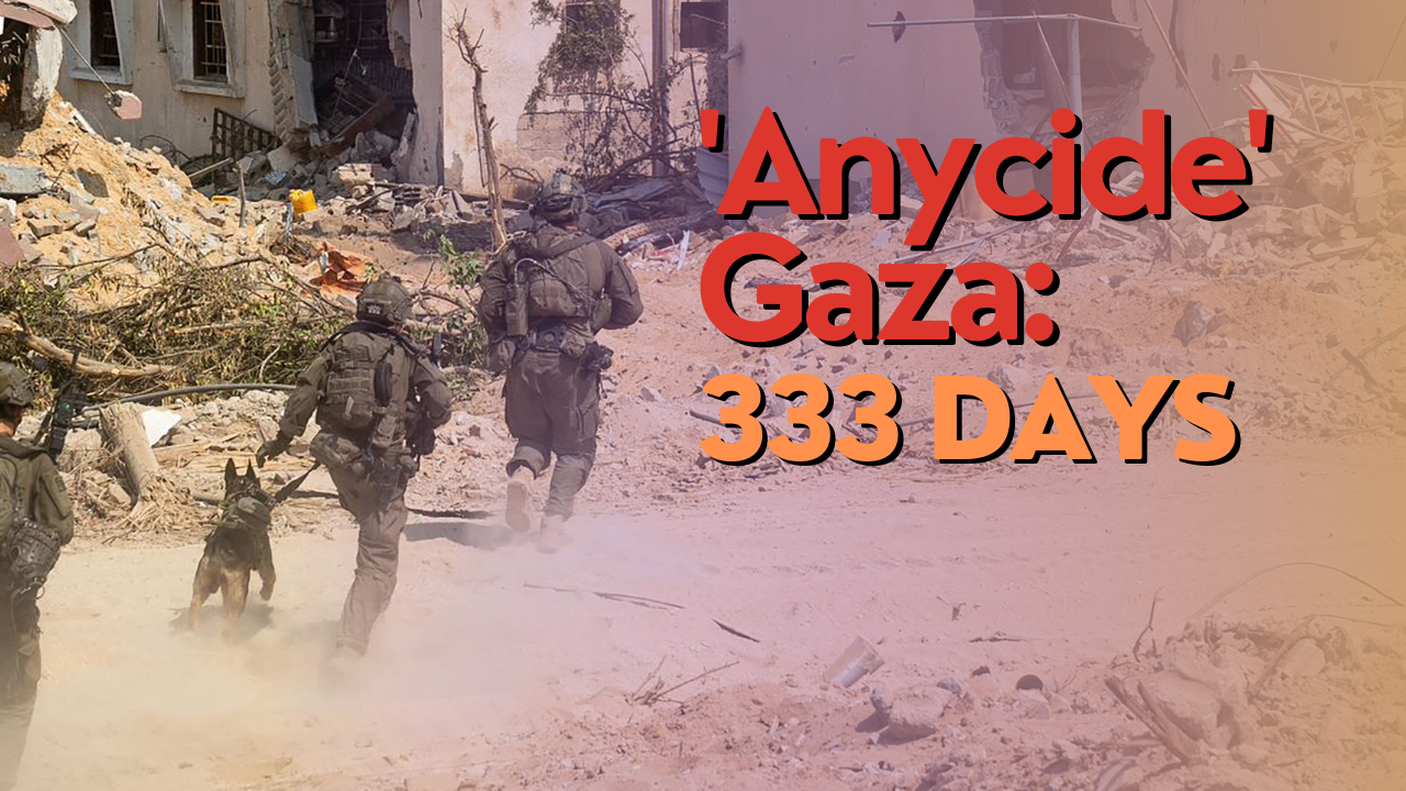 'Anycide' in Gaza: 333 days