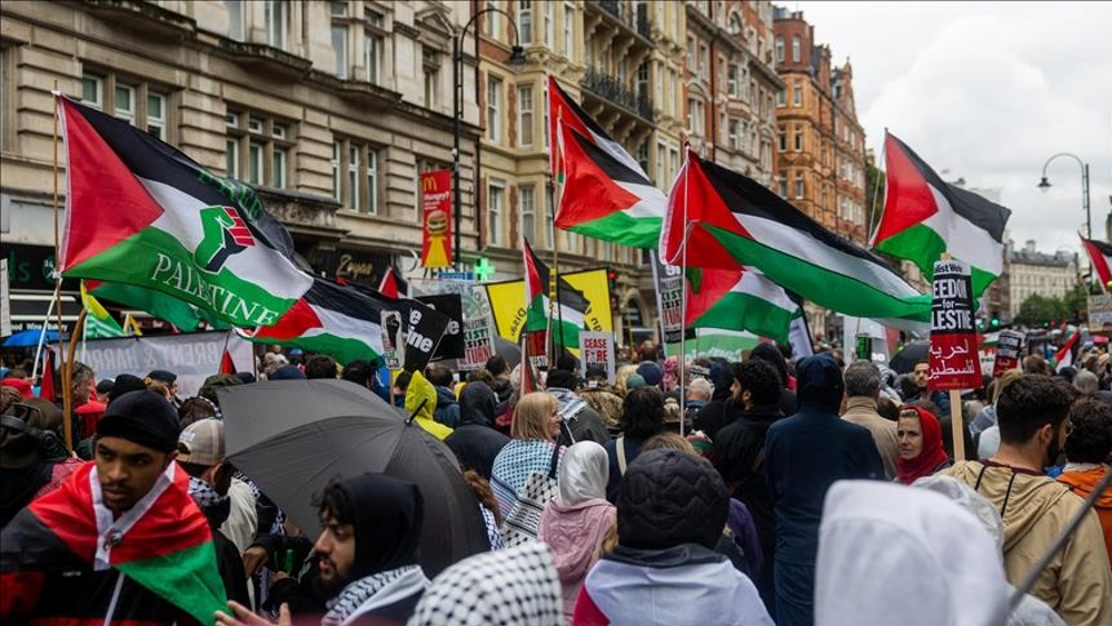 Les manifestations pro-palestiniennes reprennent dans toute l'Europe