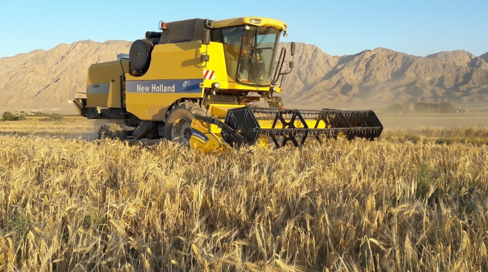Role of wheat self-sufficiency in Iran’s security 