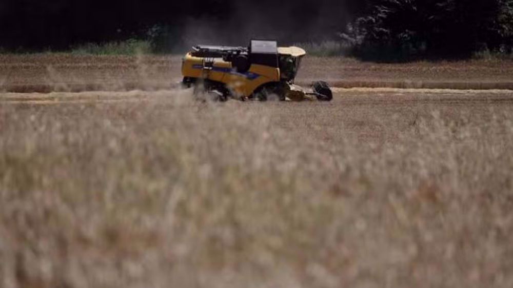 La France perd le marché algérien des céréales