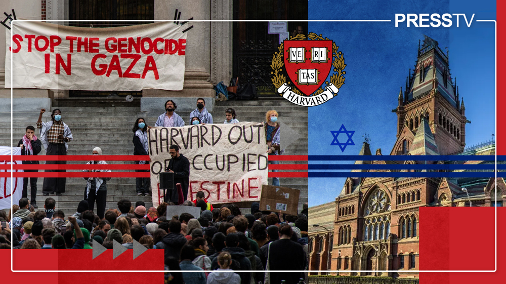 antisemitism-harvard-gaza