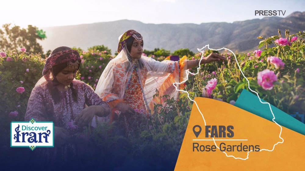 Discover Iran: Fars, Iran’s rose capital where tradition, trade and tourism bloom