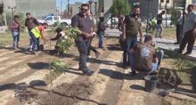 Iraq launches tree-planting drive to fight climate change