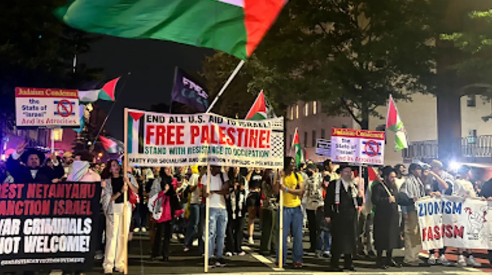 Majority of Americas support recognition of Palestine state, poll finds