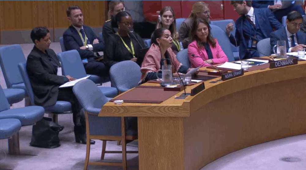 Israel committing Gaza genocide through reproductive suppression: Scholar tells UNSC