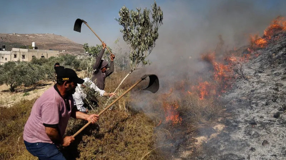 Vague d'attaques de colons israéliens: un mort et plusieurs blessés en Cisjordanie