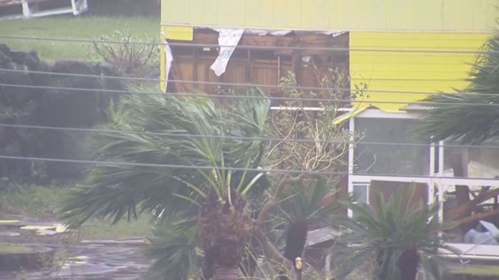 Typhoon Halong brings heavy rain, strong wind to Japan's remote Izu islands