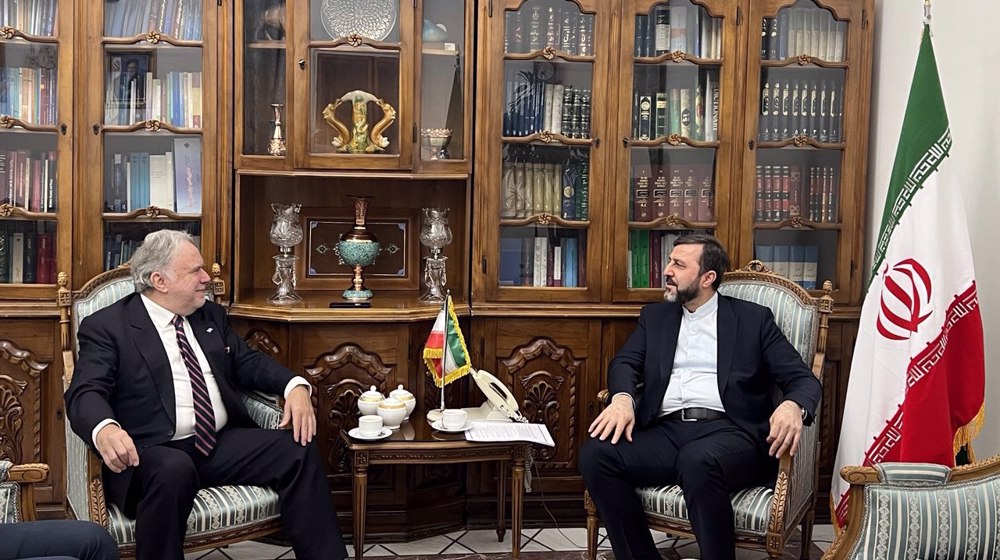 US, Israeli crimes threaten world peace, destabilize global system: Iran's deputy FM