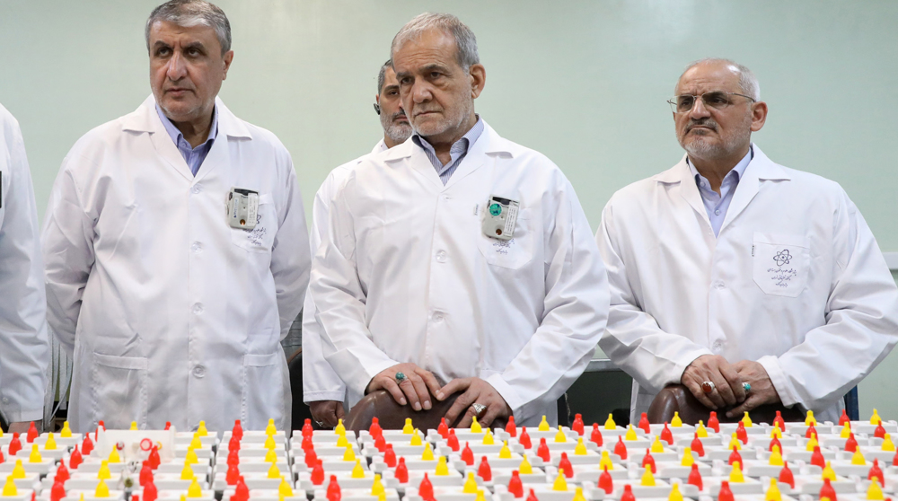 Iran to open its first nuclear desalination plant next year