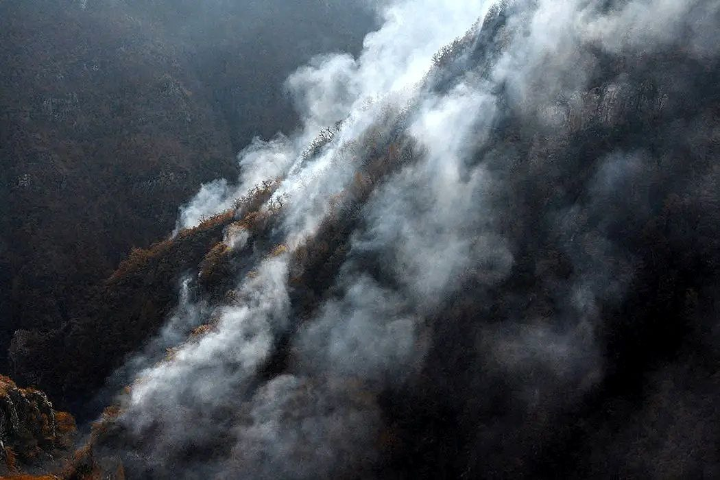 Iran brings northern wildfires under control, Turkey sends aid