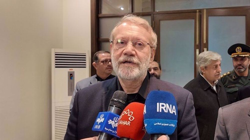 Larijani: Iran-Pakistan cooperation contributes to regional peace
