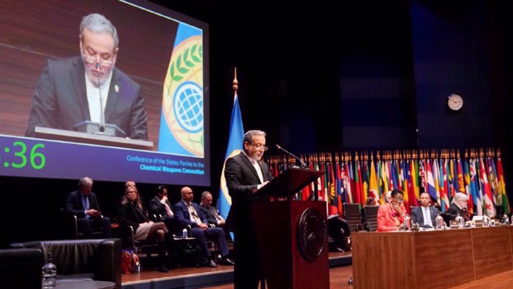 Israël est le seul obstacle à la création d'une zone exempte d'ADM dans la région (Araghchi)