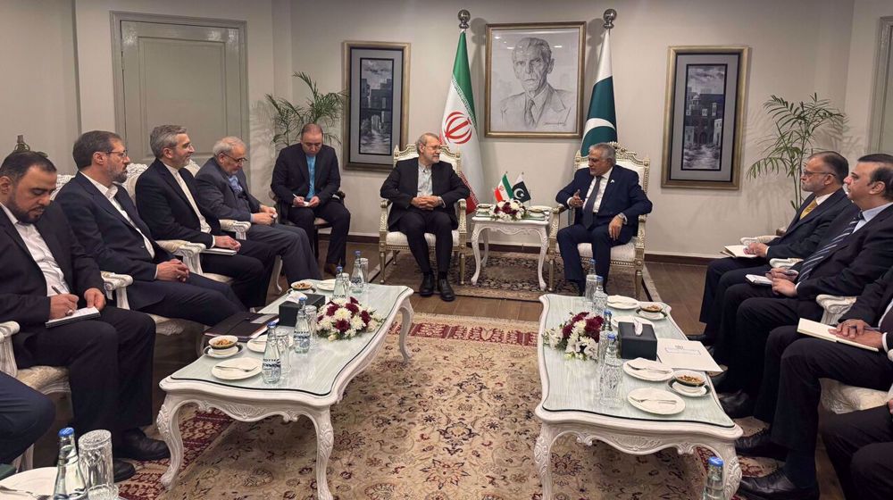 Pakistan's deputy PM hails 'brotherly' relations with Iran