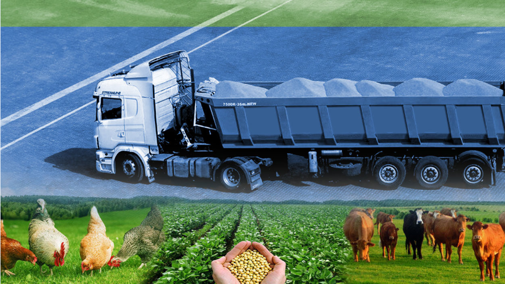 Iran’s biotech breakthrough: Turning feathers into feed