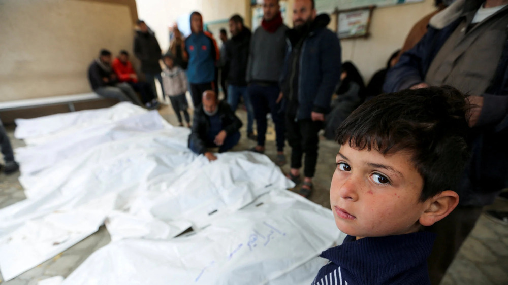 Gaza : trois millions d'années de vie humaine perdues