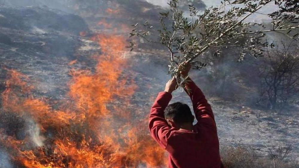 Cisjordanie: l’ONU alerte sur une recrudescence inédite des violences de colons israéliens