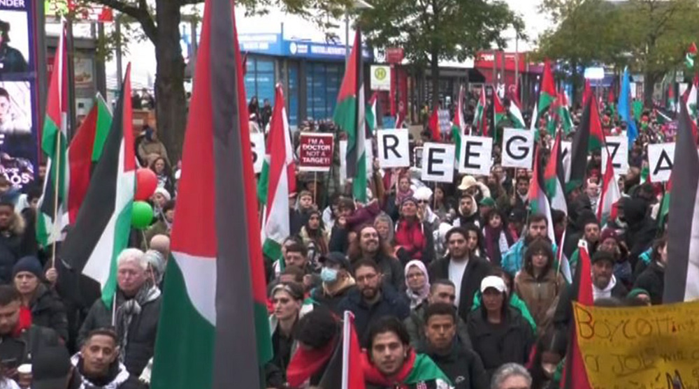 Large Palestine demo held in Hamburg