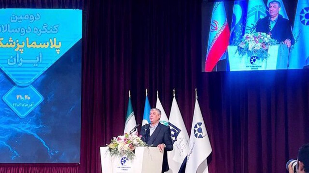 Nuclear chief: Iran should turn from buyer to creator of technology