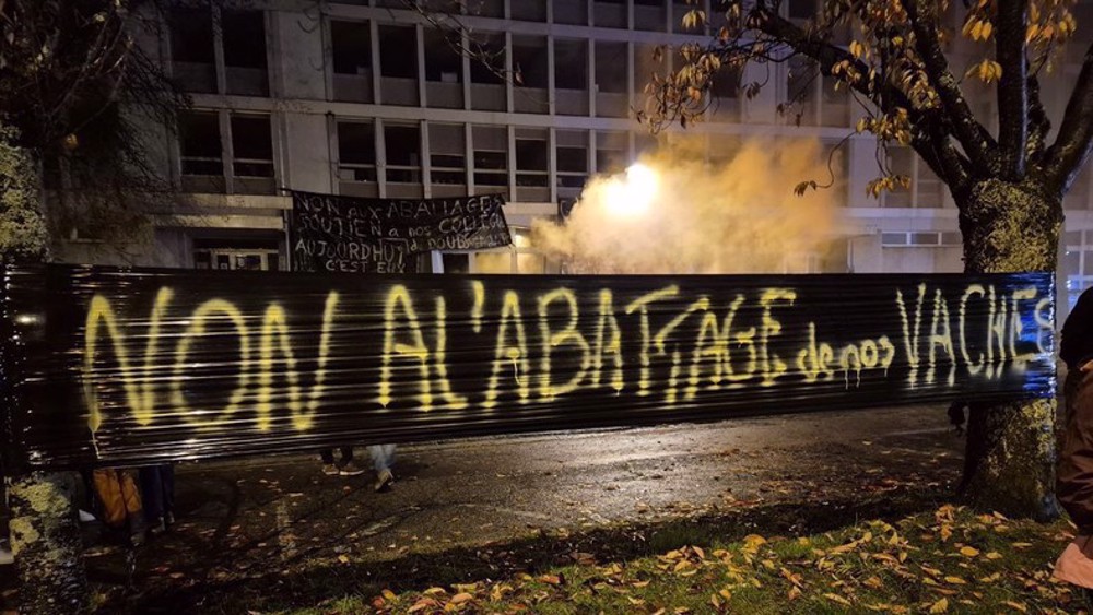 France : mobilisations agricoles en Ariège contre l’abattage pour dermatose