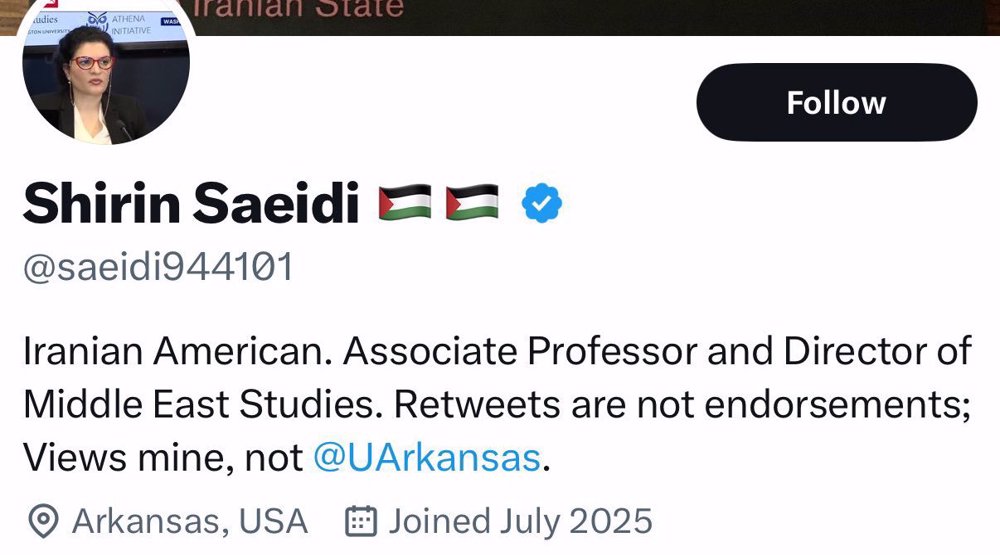 US university fires Iranian professor over support for Iran, Palestine
