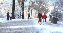 New Yorkers embrace Central Park's first snowfall