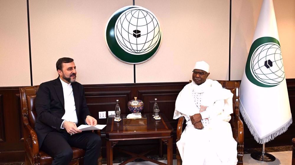 OIC chief pledges support for Iran, hails Tehran's role in Islamic solidarity