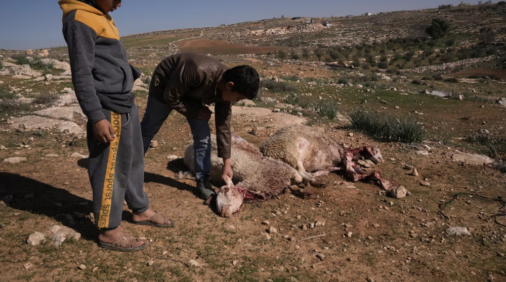 Israeli settlers tear gas 3 Palestinian children in attack on West Bank home 
