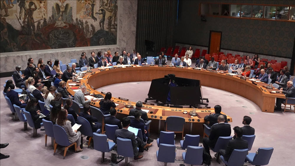 UN Security Council members condemn Israel's recognition of Somaliland 