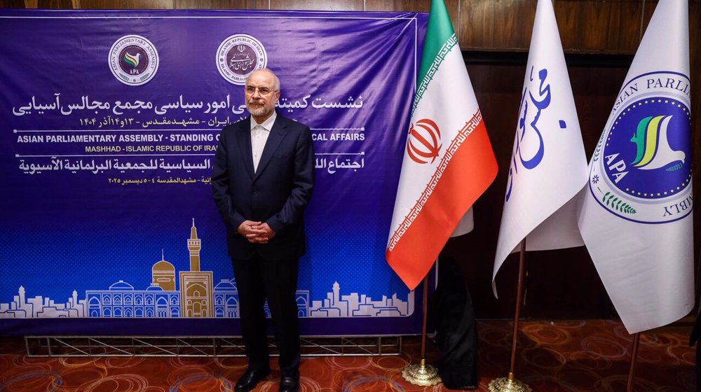 Iran open to diplomacy but national security, defense power non-negotiable: Parliament speaker