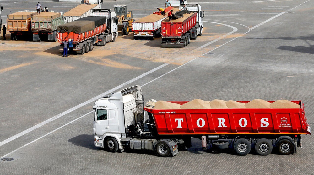 Iran’s wheat imports at $424 mln in Apr-Oct: IRICA