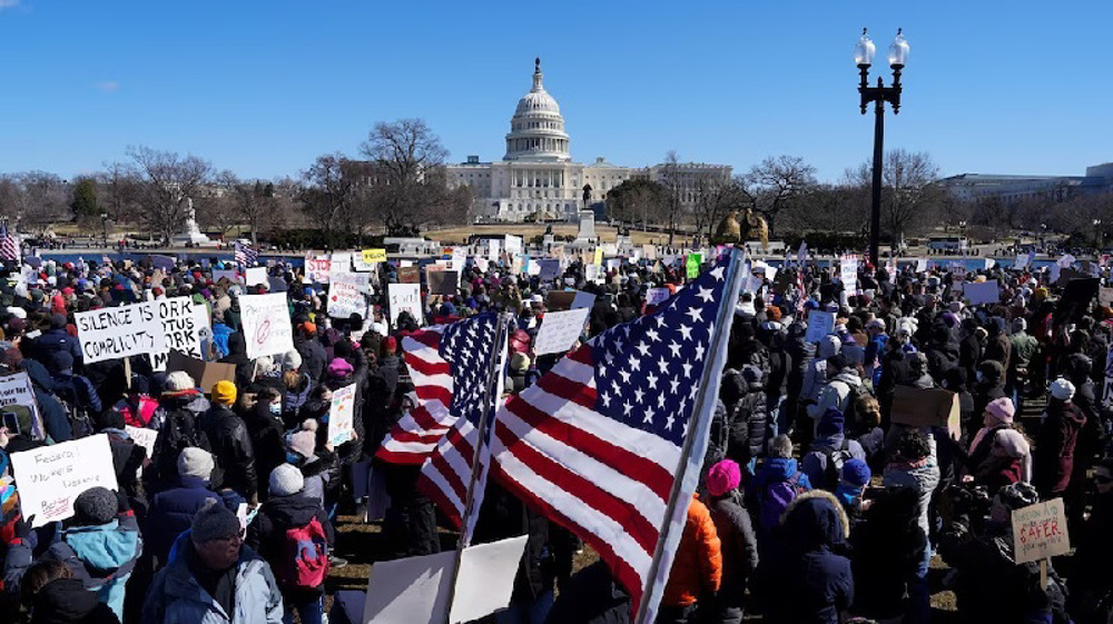 Americans protest Trump and Musk 