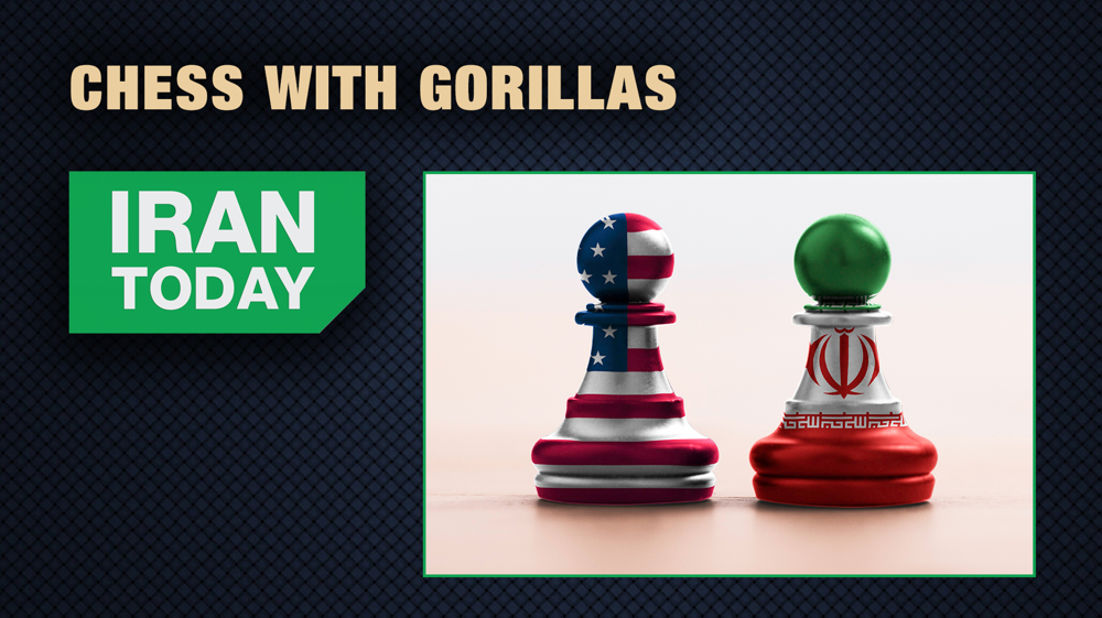 Chess with gorillas