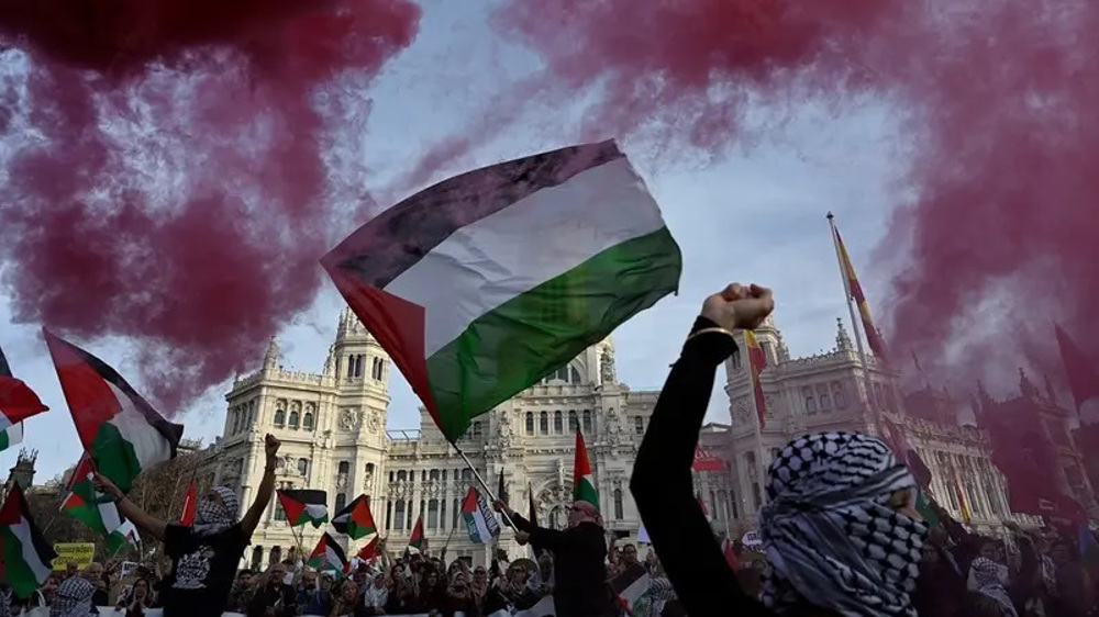 Palestine Solidarity in Madrid