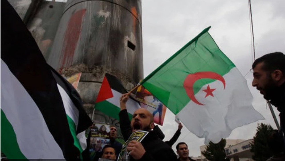 Algerian & Palestinian revolutions