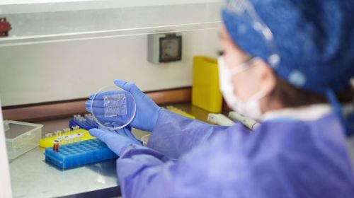 Female Iranian inventor awarded by UN agency