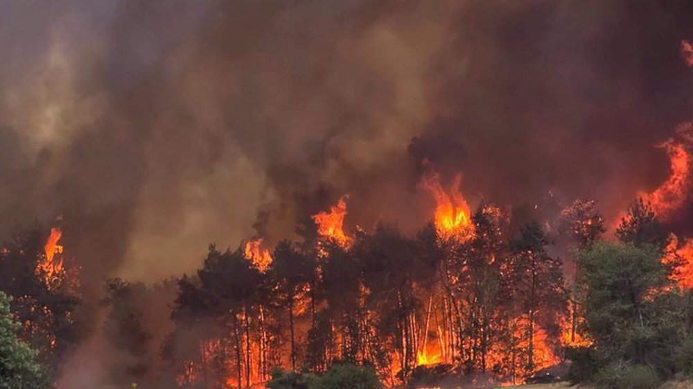 Massive wildfires keep raging across Israeli occupied territories 