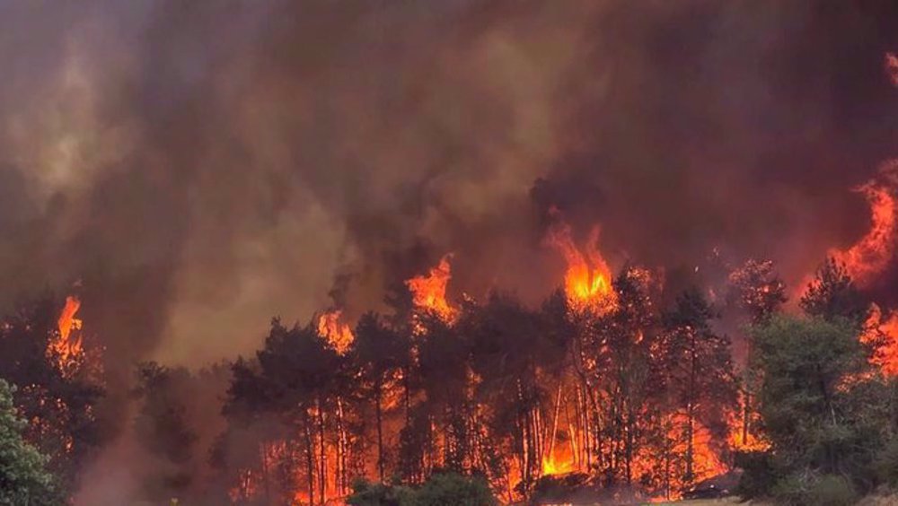 Incendies majeurs dans les territoires occupés : 10 000 colons évacués en urgence