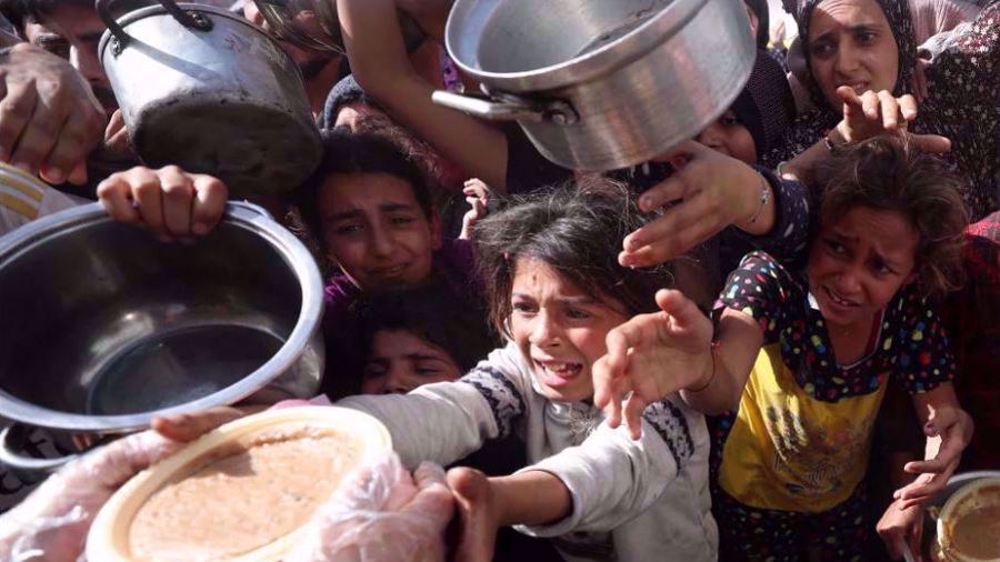 Humanitarian organizations warn Gaza children starve, suffer from acute malnutrition