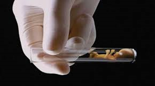 Iranian knowledge-based companies localize embryo freezing equipment
