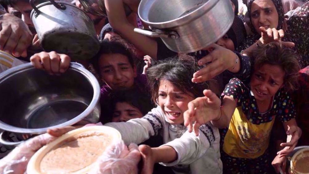 Pope calls for humanitarian aid to enter Gaza 