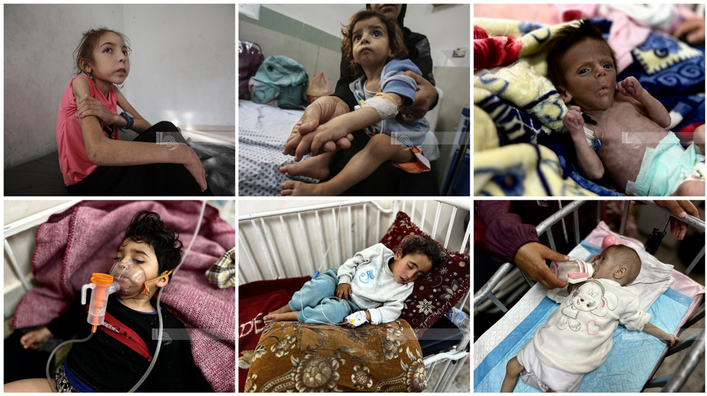 L’aide médicale doit être autorisée à entrer à Gaza (OMS)