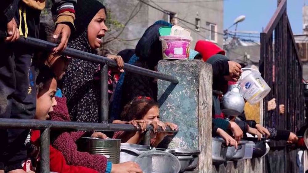 Israel killed 10 aid seekers in two days in Rafah: Gaza’s Media Office