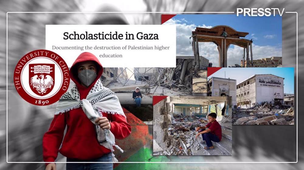 Scholasticide in Gaza: Universities in ruins, but Gazans fight to keep education alive